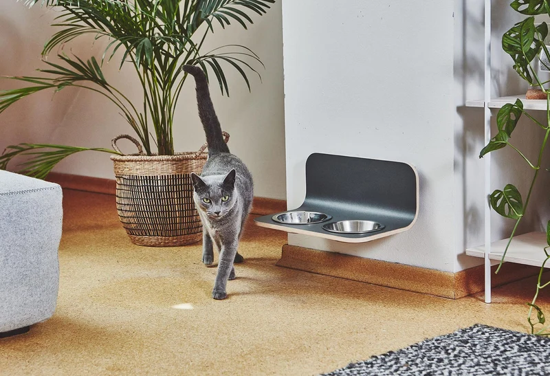 Bols surélevés pour chat Arco