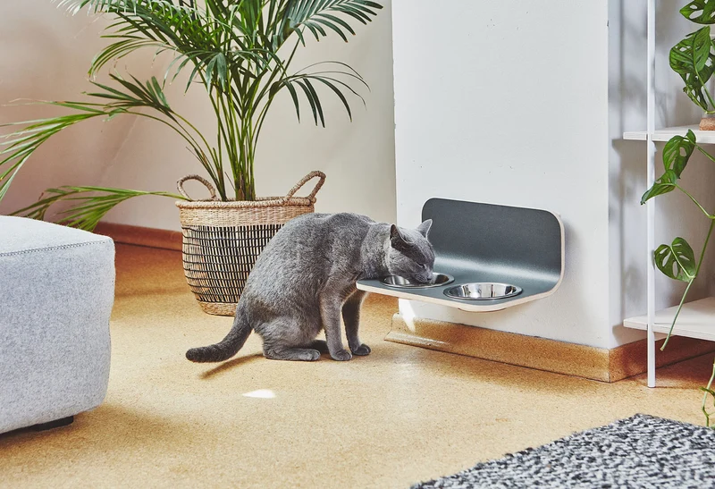 Bols surélevés pour chat Arco