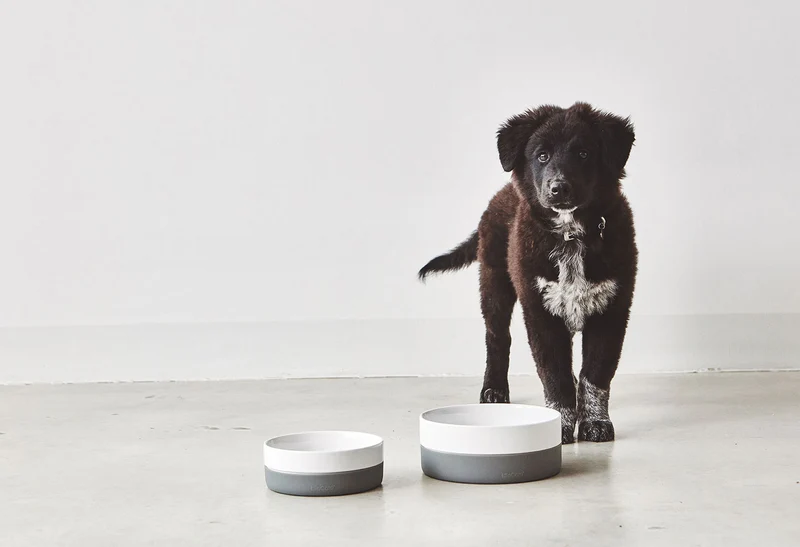 Bol pour chien Coppa