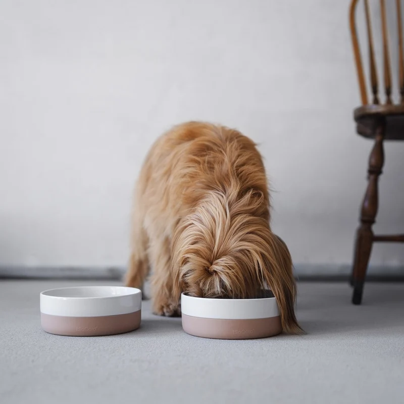 Bol pour chien Coppa