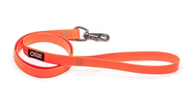 Laisse Biothane imperméable (5 couleurs)