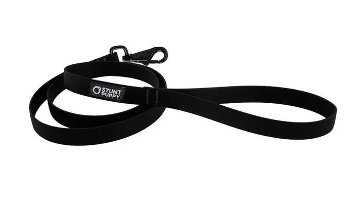 Laisse Biothane imperméable (5 couleurs)