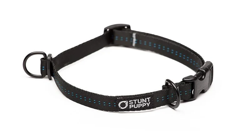 Collier pour chien souple Everyday (3 couleurs)