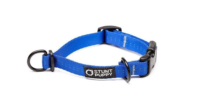 Collier pour chien souple Everyday (3 couleurs)
