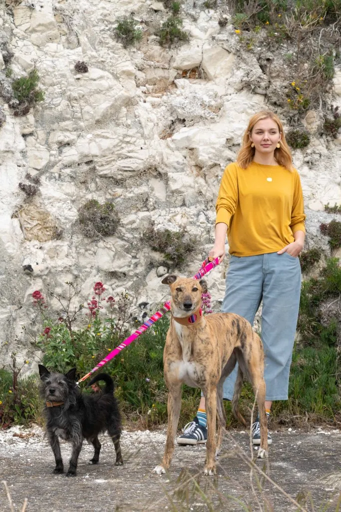 Laisse pour chien Inca Pink