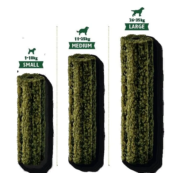 Friandise brosse à dent Woofbrush