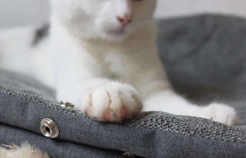 Panier Chat Velours Pour Confort Ultime