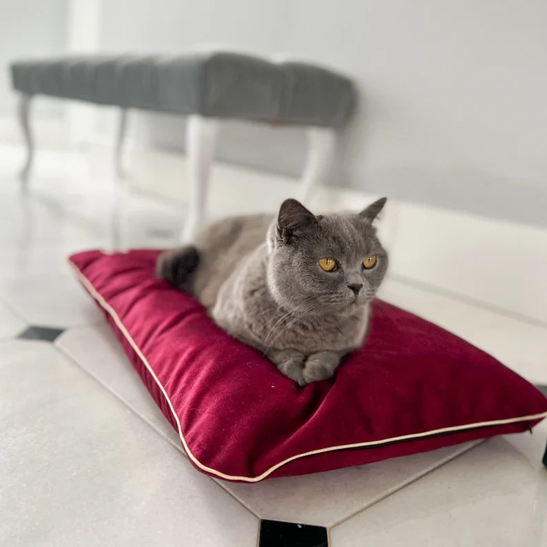 Coussin En Velours Imperméable Pour Chien