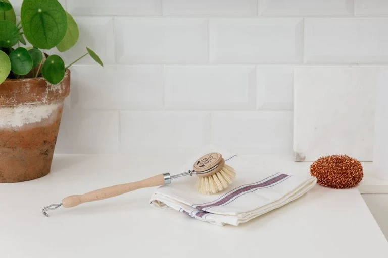Brosse à vaisselle pour tapis de léchage