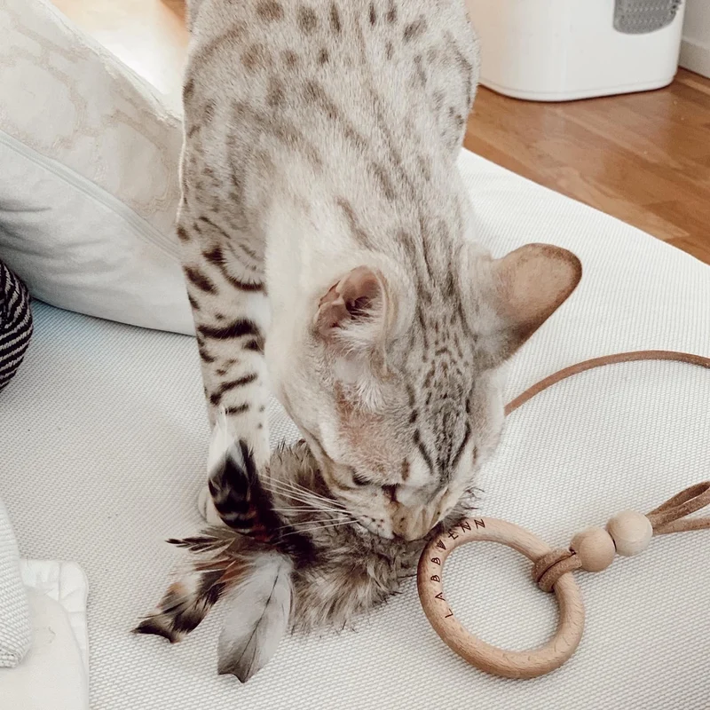 Jouet pour chat Musse