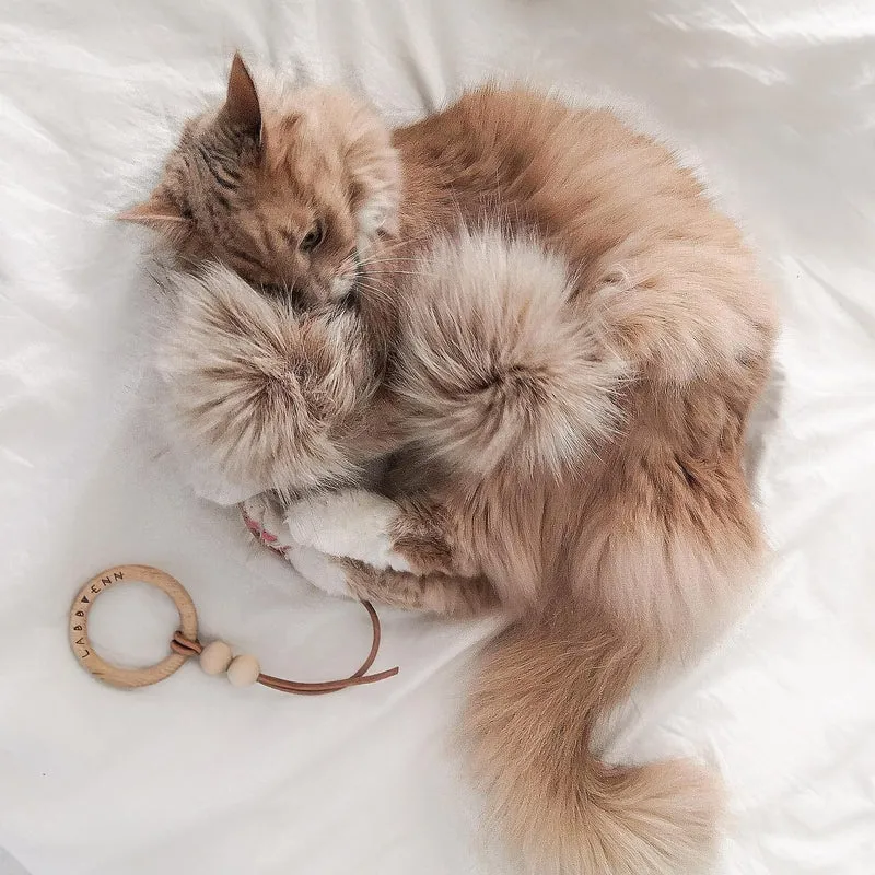 Jouet pour chat Tollo
