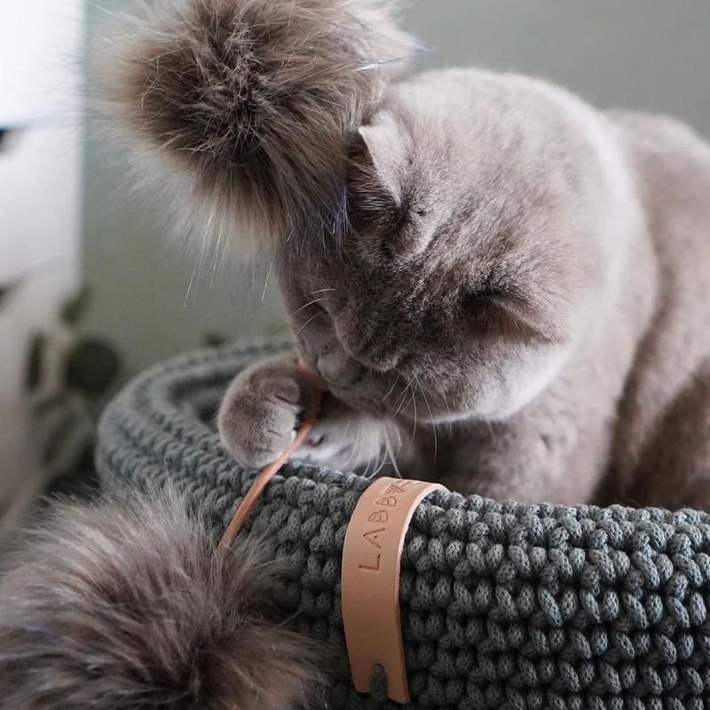 Jouet pour chat Tollo