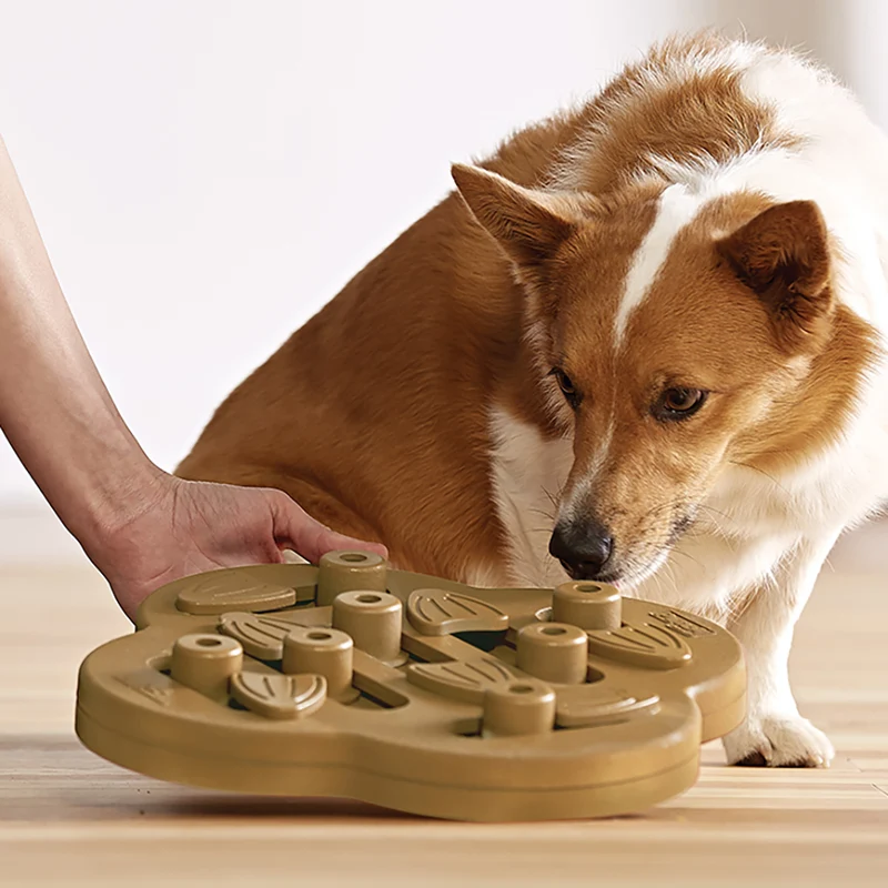 Jouet d'occupation Hide n’ Slide pour chien Niv.2