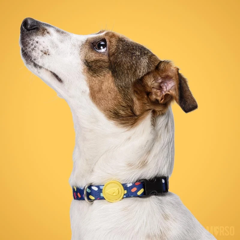 Collier pour chien Color Invaders