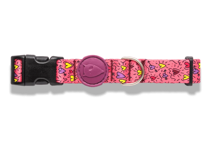 Collier pour chien Pink Think