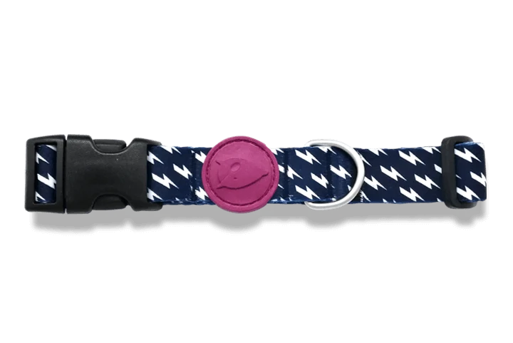 Collier pour chien Power Flow