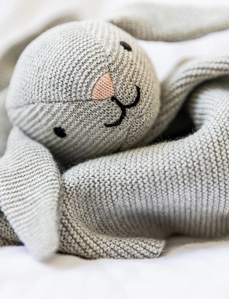 Coffret Cadeau Lapin Teddy Baby