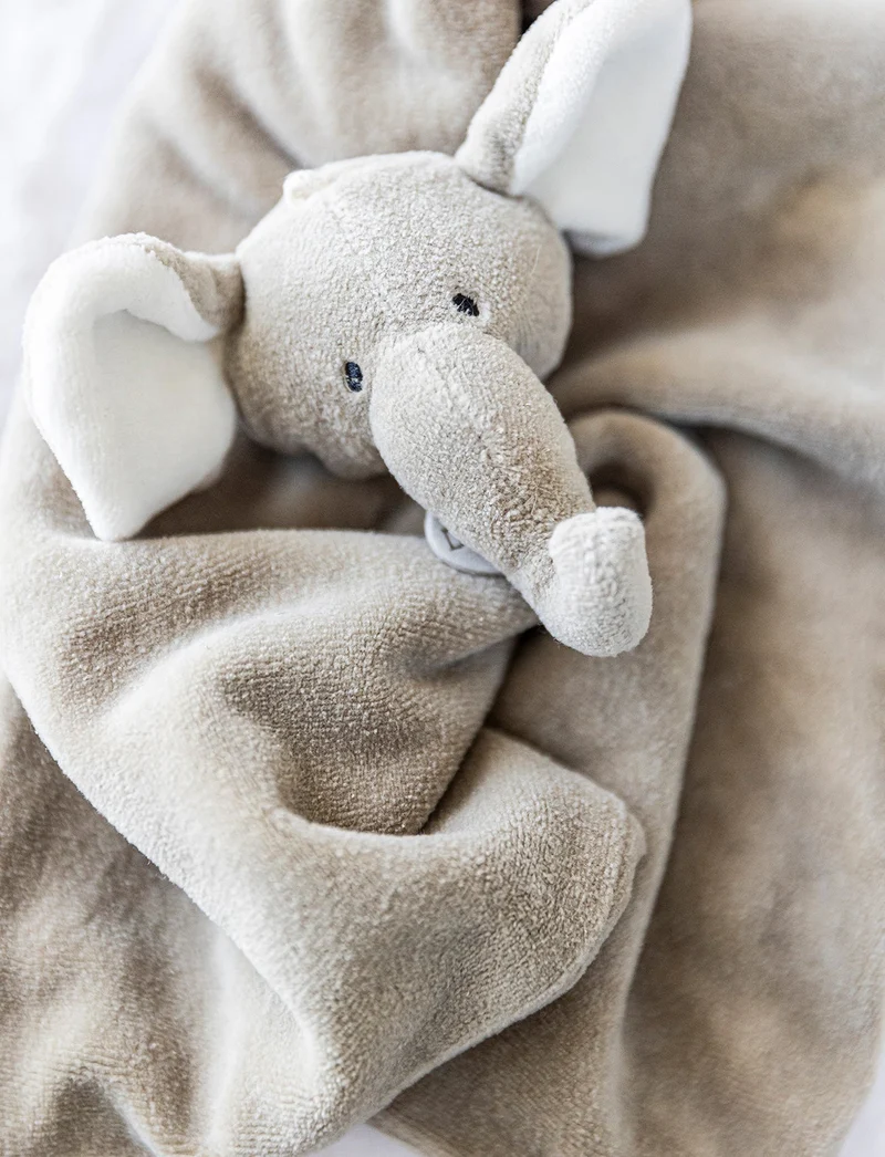 Coffret Cadeau Éléphant Diinglisar Organic