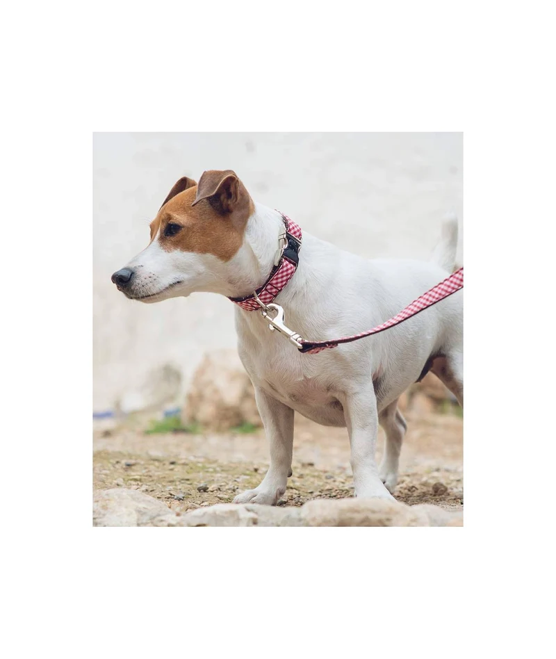 Collier pour chien Vichy rouge Maians