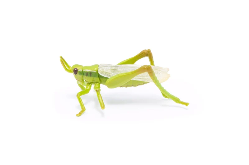 Figurine Sauterelle