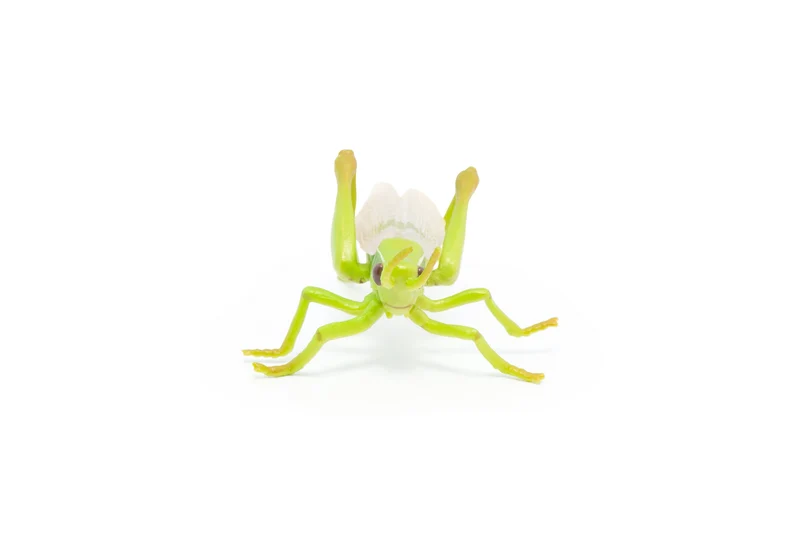 Figurine Sauterelle