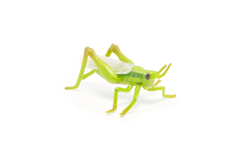 Figurine Sauterelle