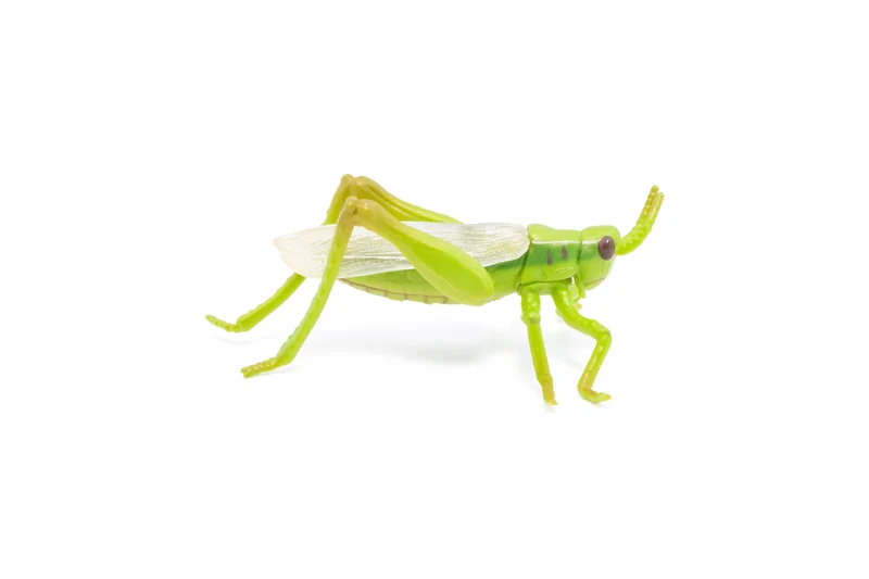 Figurine Sauterelle