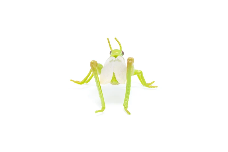 Figurine Sauterelle
