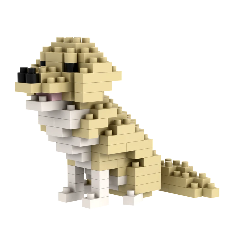 BRIXIES Labrador