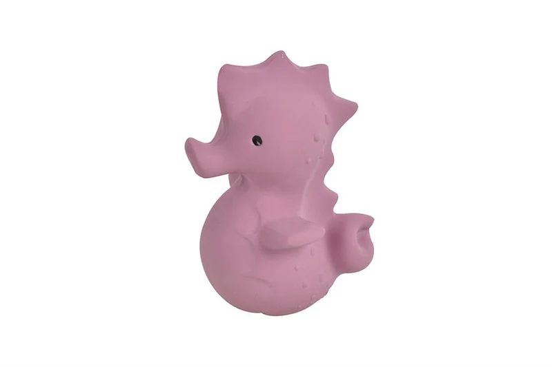 Mon Premier Animal Marin – Hippocampe
