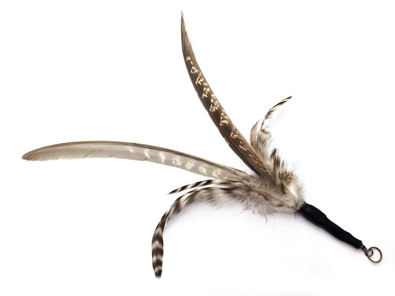 Plumes pour canne Purrs Poursuit- Jouet interchangeable