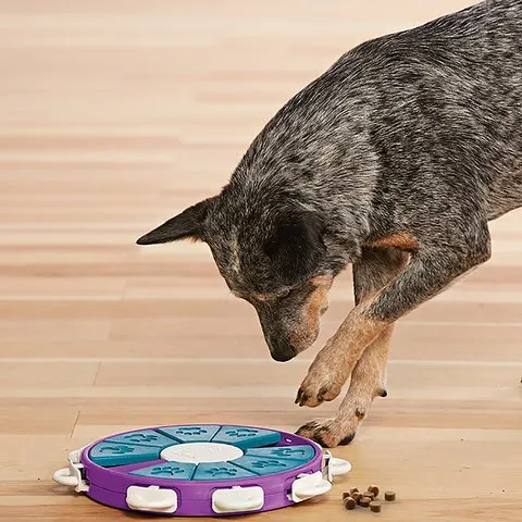 Jouet de stimulation Dog twister pour chien Niv.3