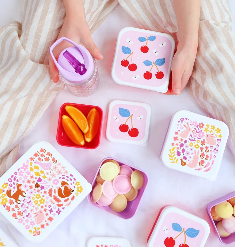 Lot de 4 boîtes repas et goûter - Jardin fleuri
