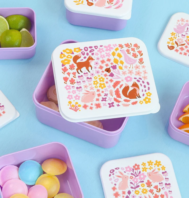 Lot de 4 boîtes repas et goûter - Jardin fleuri