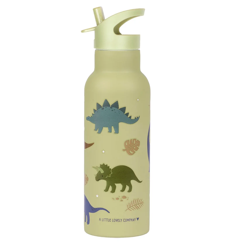 Gourde XL en inox - Dinosaures