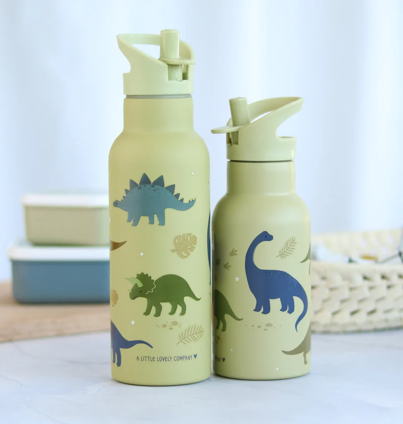 Gourde XL en inox - Dinosaures