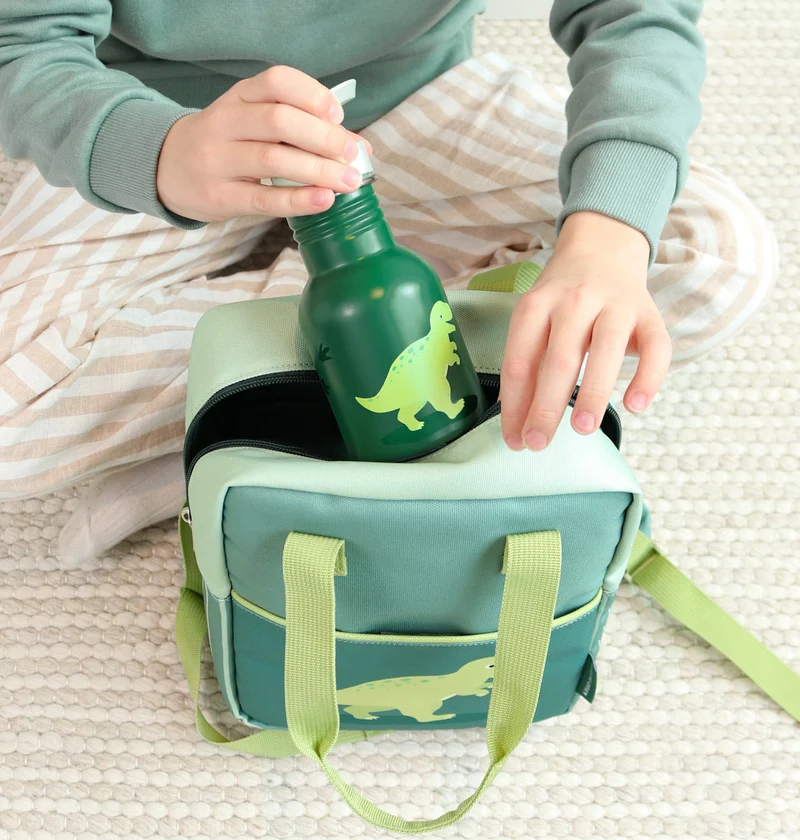 Petite gourde en inox - Dinosaure
