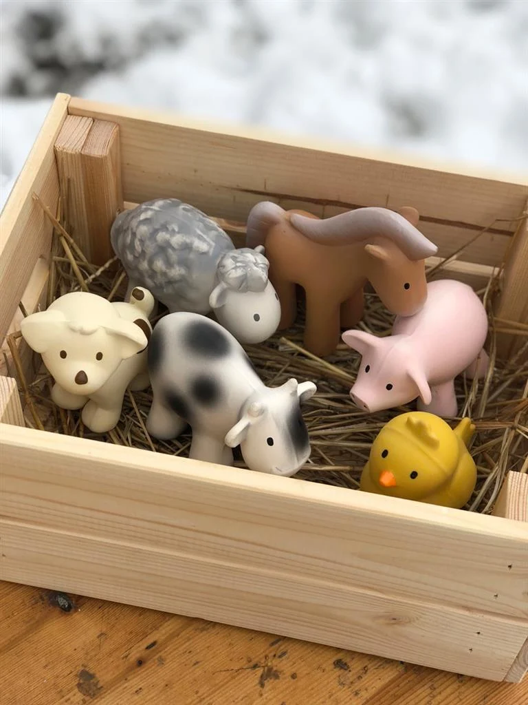 Mon Premier Animal de Ferme – Cochon