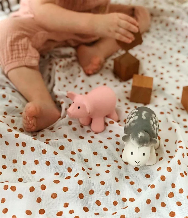 Mon Premier Animal de Ferme – Cochon