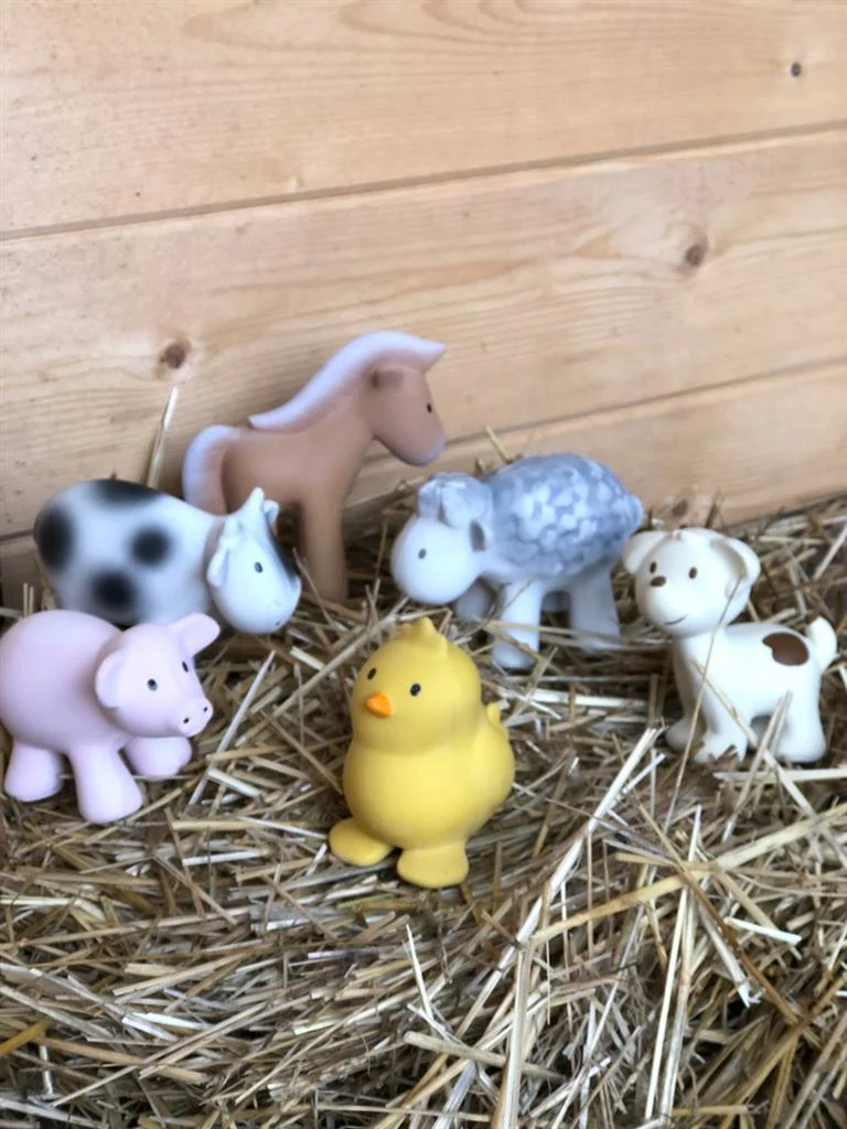 Mon Premier Animal de Ferme – Poussin