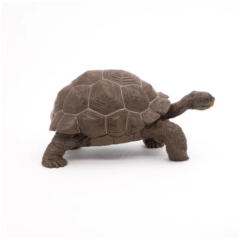 Figurine Tortue des Galápagos