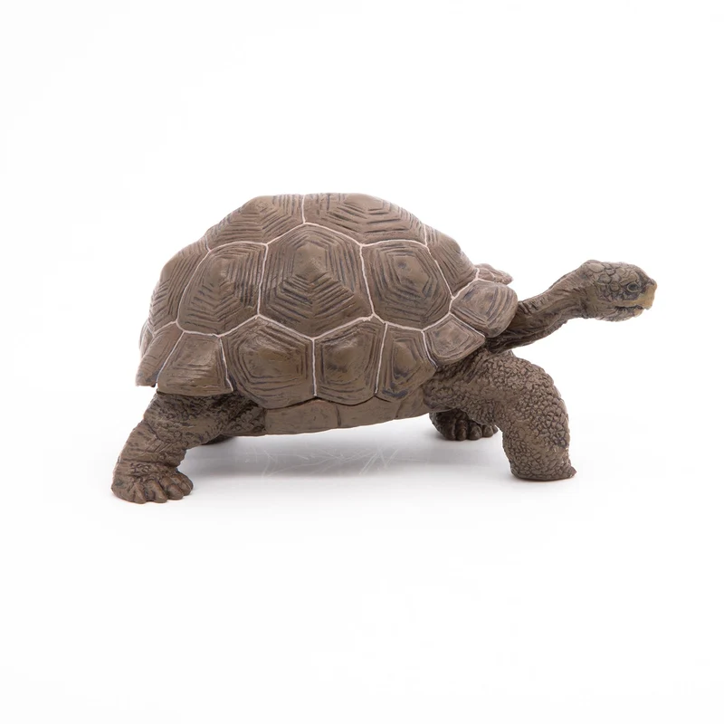 Figurine Tortue des Galápagos