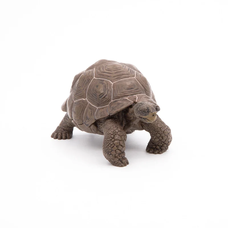 Figurine Tortue des Galápagos