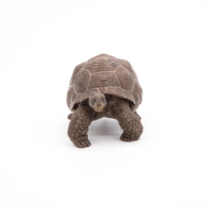 Figurine Tortue des Galápagos