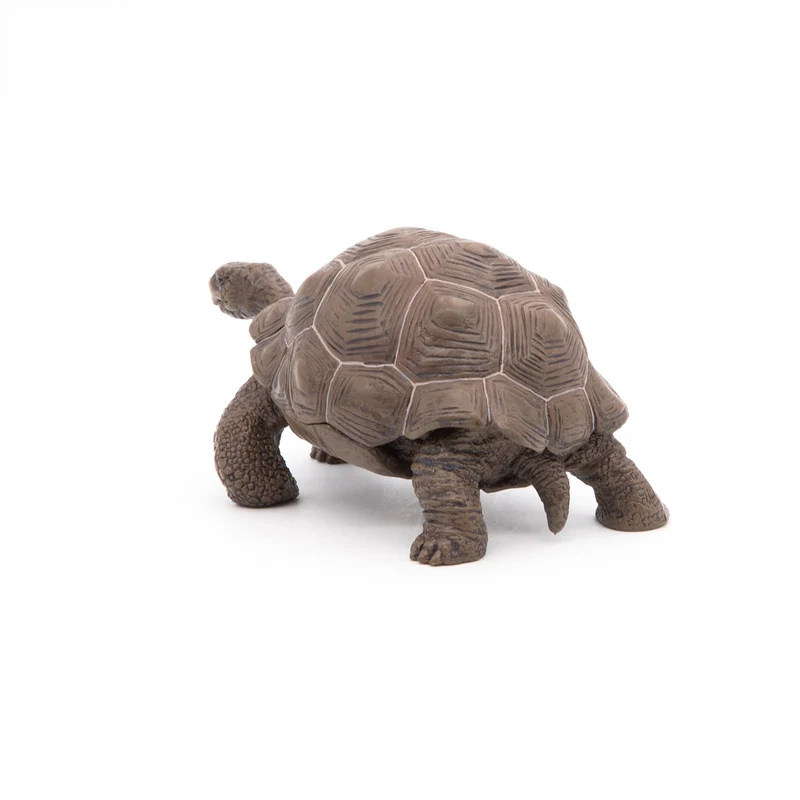 Figurine Tortue des Galápagos