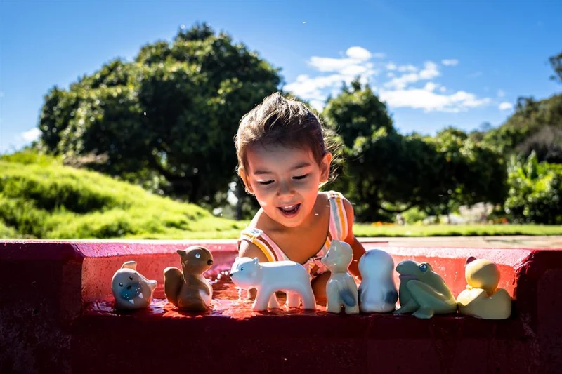 Mon Premier Animal Arctique – Renard