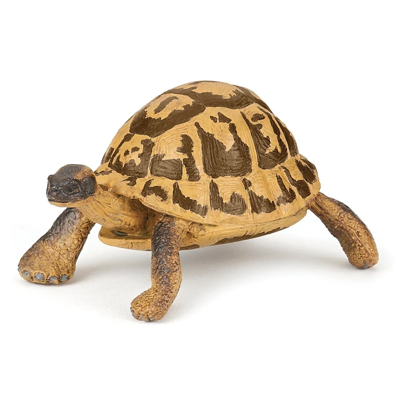 Figurine Tortue d'Hermann