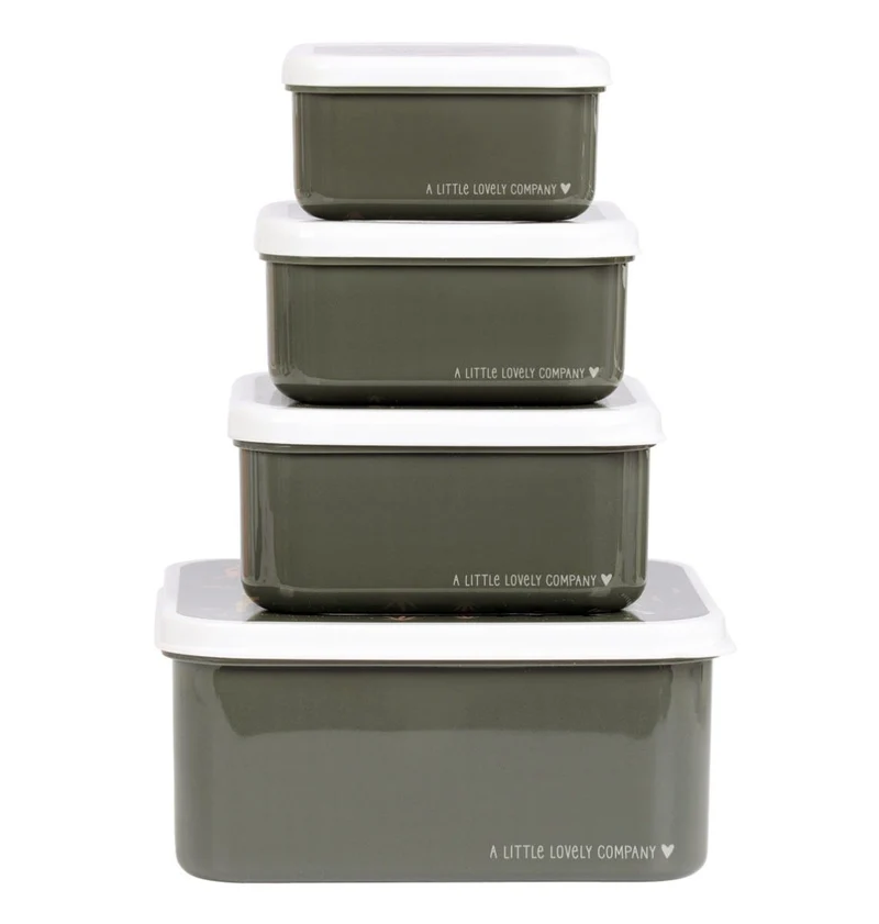Lot de 4 boîtes repas et goûter - Savane