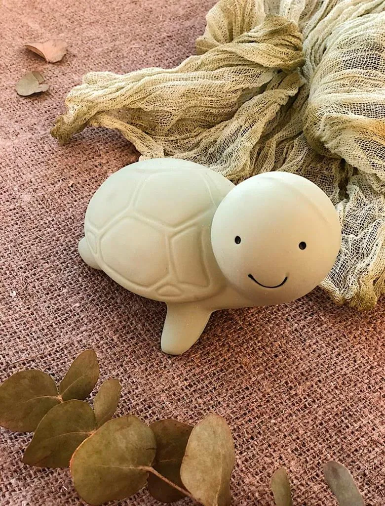 Mon Premier Animal Marin – Tortue