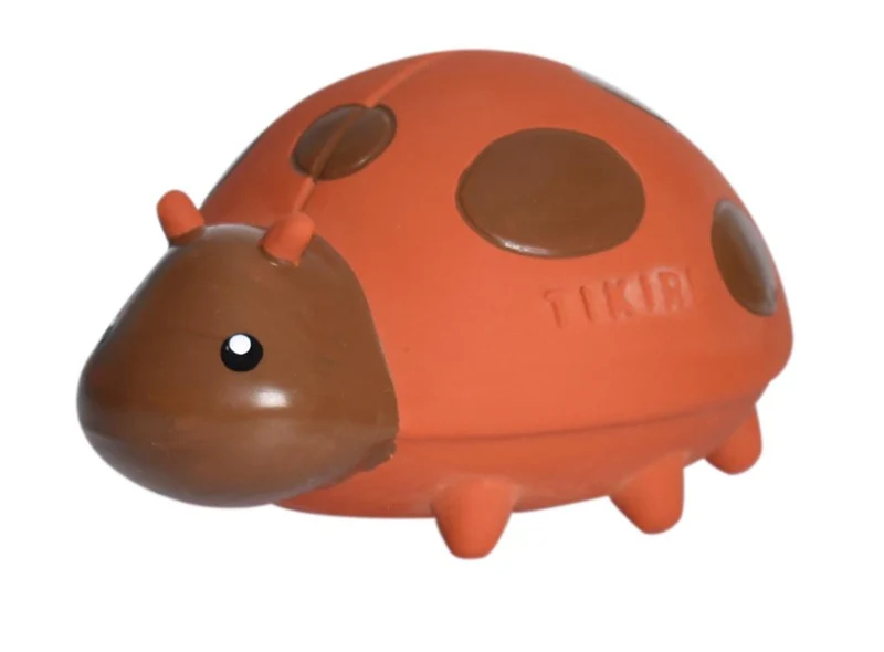 Mon Premier Animal du Jardin – Coccinelle